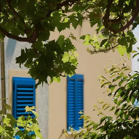 Kuca Za Odmor Zvonimir * Premantura
